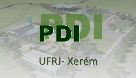 PDI UFRJ LOGO