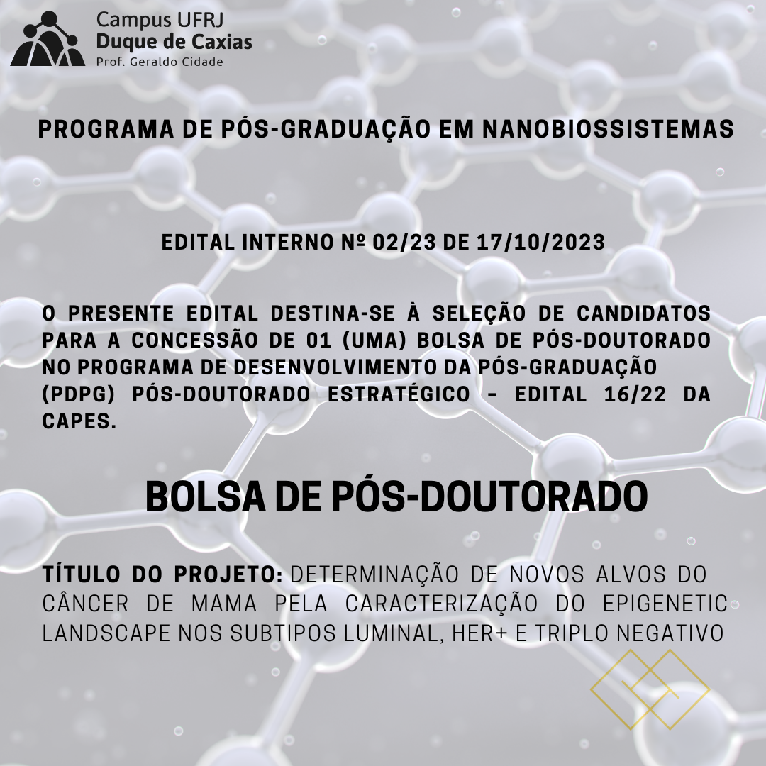 bolsa de pós doutorado